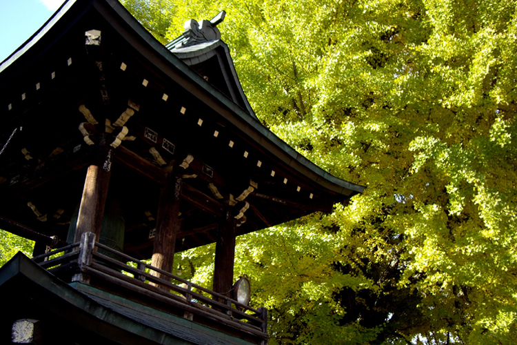 おやど 古都の夢 - 写真 230