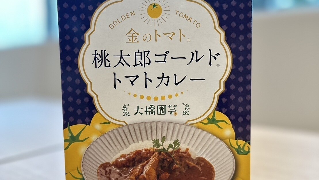 【VISITとよた割対象】30％OFF☆朝食付き◆豊田のお土産付プラン【現地払いのみ】