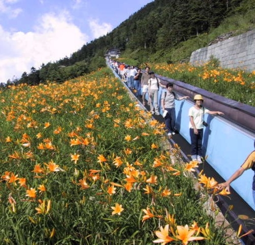 横手山スカイレーターとスカイペアレフトで「満天ビューテラス」へ