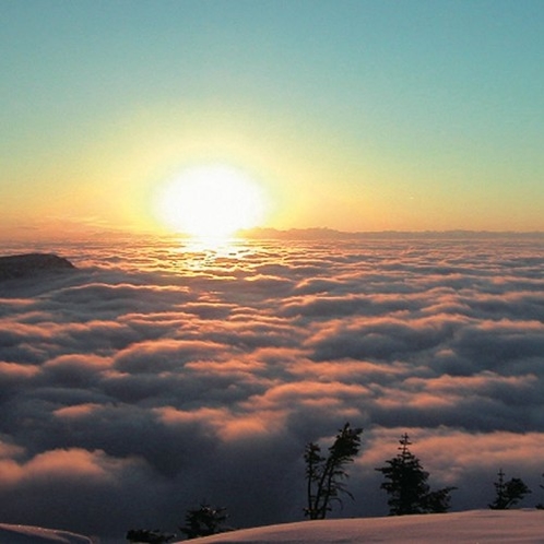 横手山山頂から見る雲海　2307ｍの世界へ　満天ビューテラス