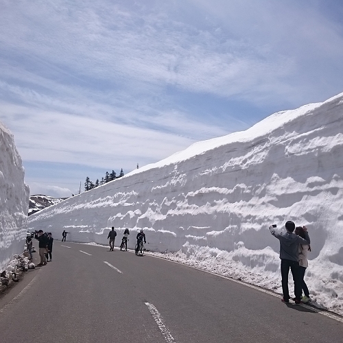 雪の回廊を行く！志賀草津高原ルート