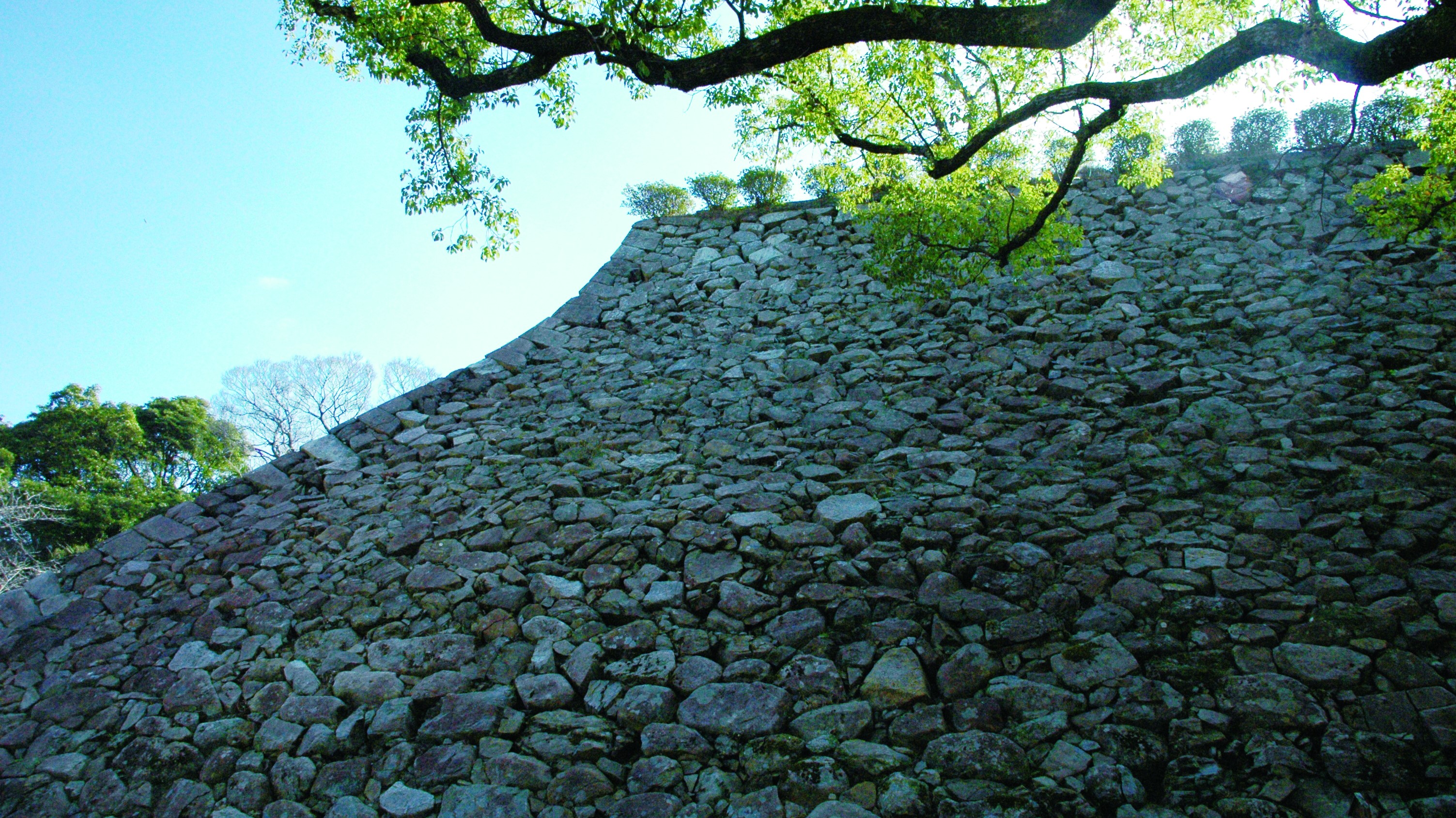 城山：千人殺しの石垣