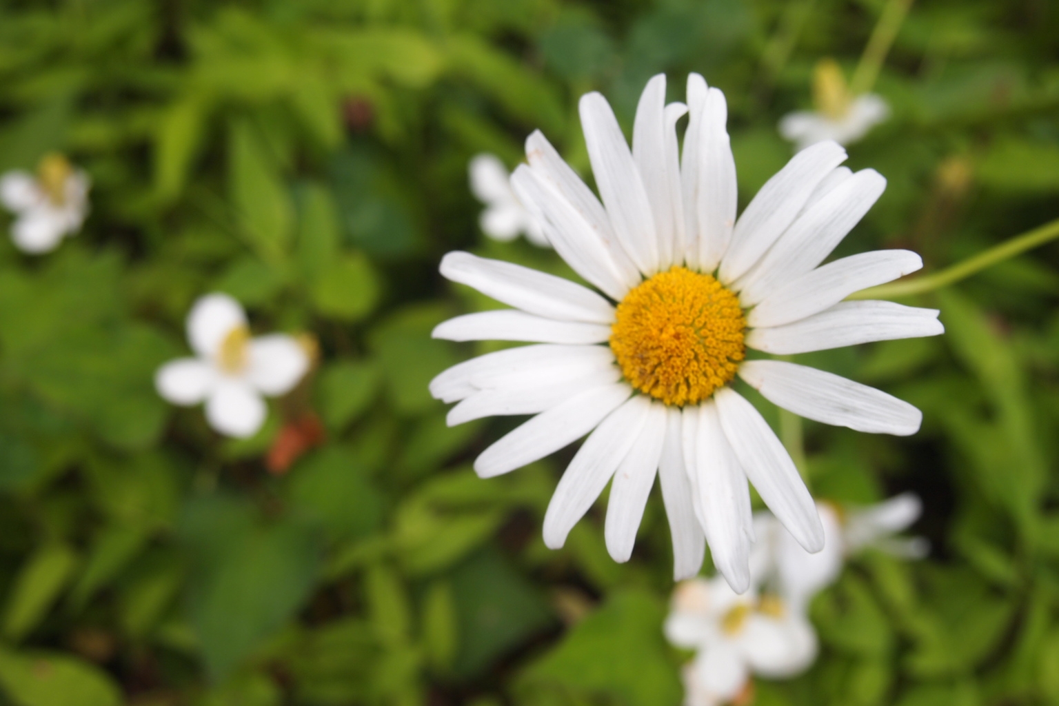 １泊朝食付プラン♪♪