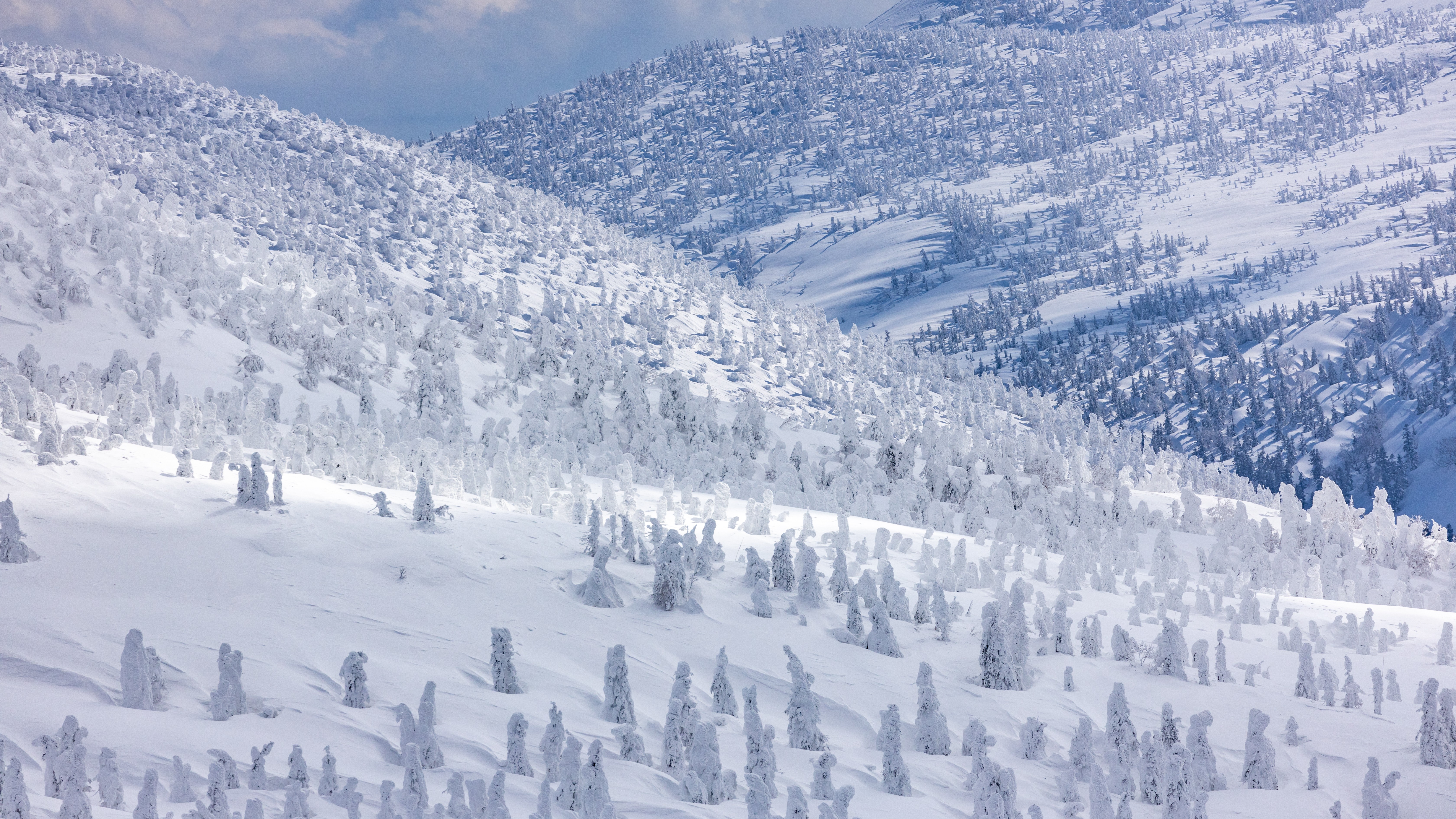 【八甲田山】当館から車で約40分