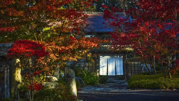 『すわや』で秋満喫★紅葉名所を巡ろう！石川町産日本山葡萄ジュースを、グラス1杯プレゼント【2食付】