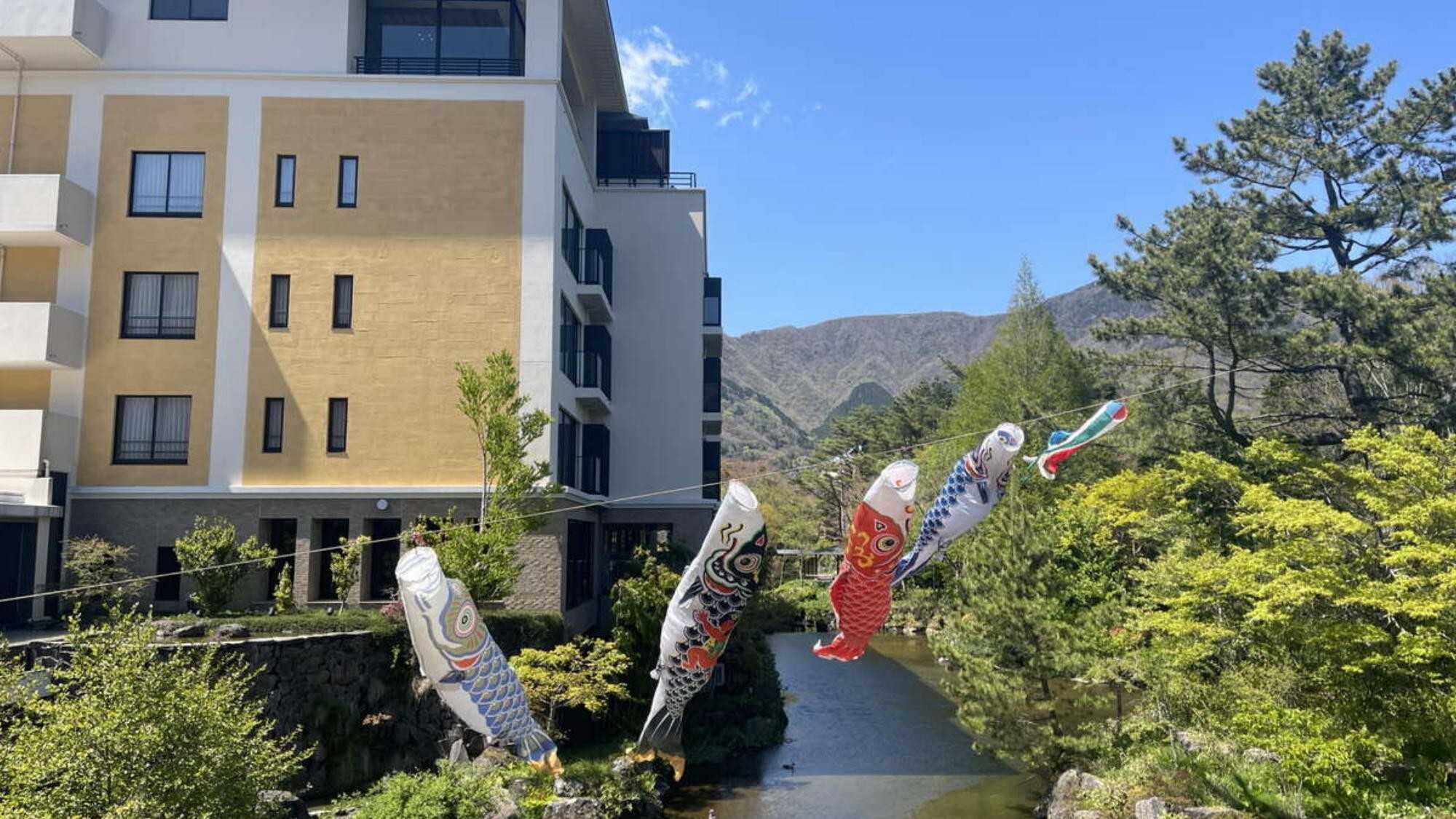 【春】中庭こいのぼり