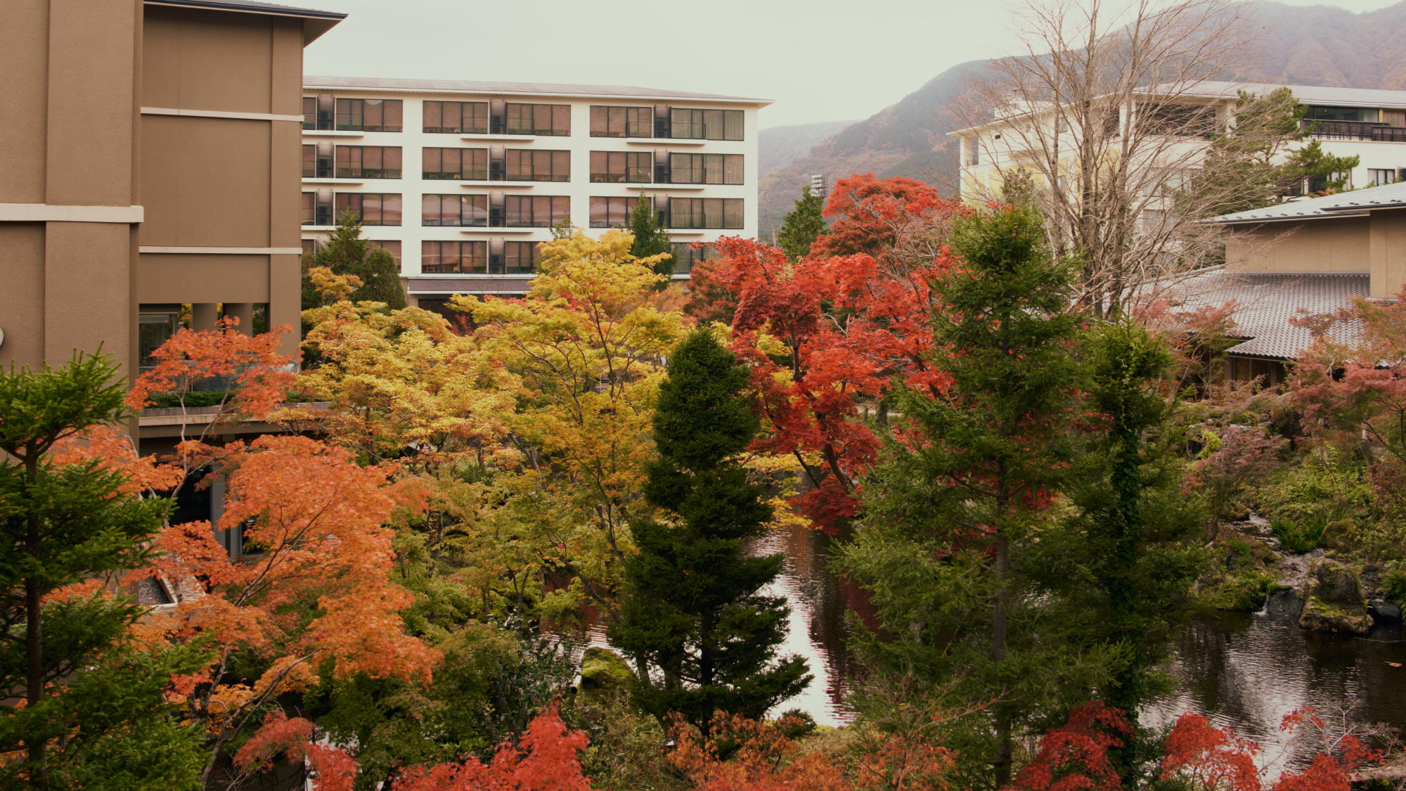 【秋】四季折々の風景を魅せる庭園