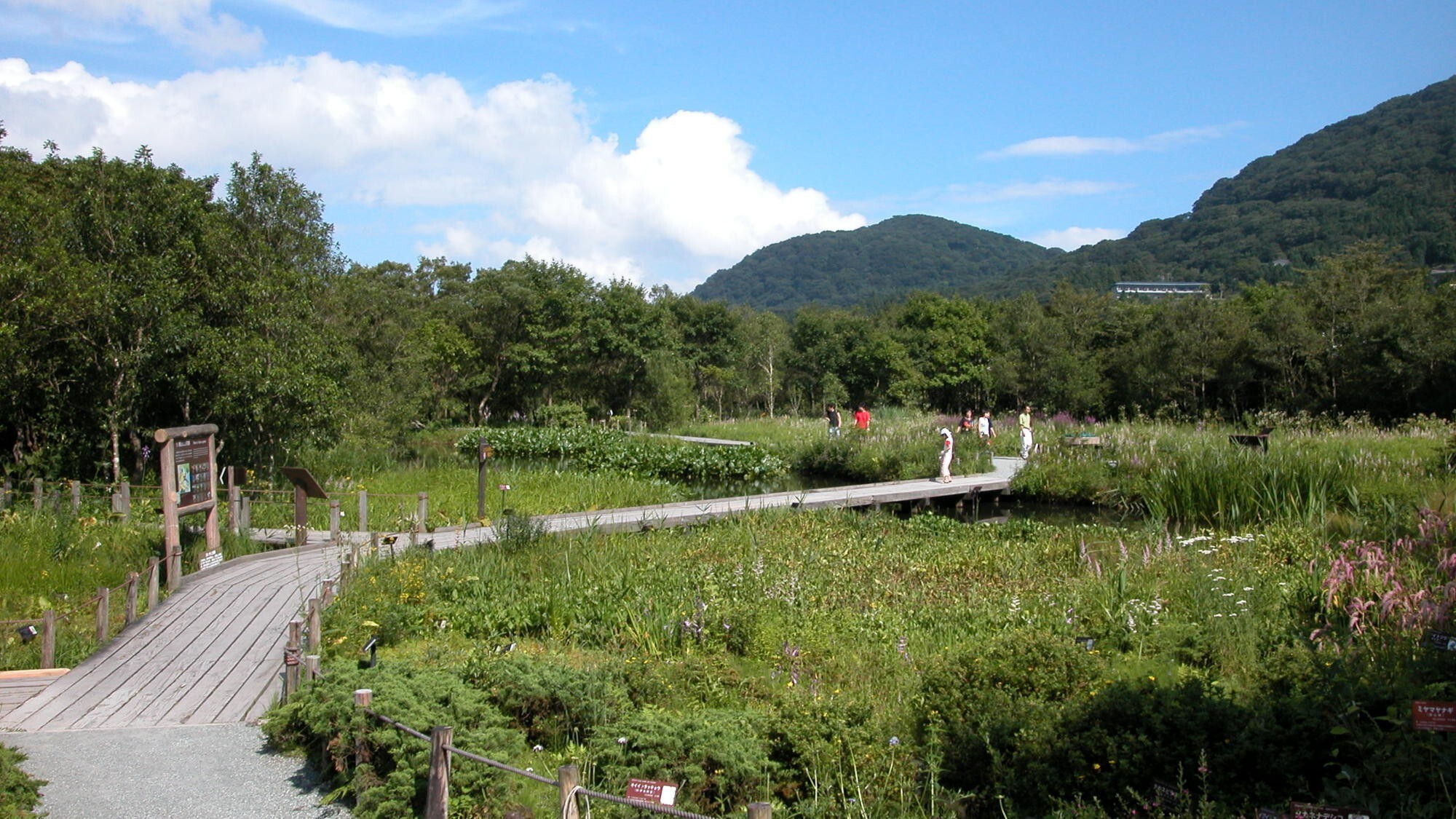 【箱根湿生花園】当館より徒歩約5分※冬季休園期間有り