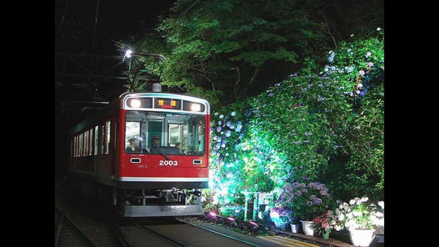 箱根登山電車【夜のあじさい号】※季節限定