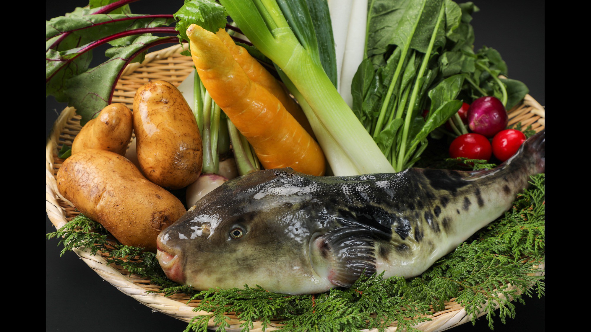 河豚と三島野菜