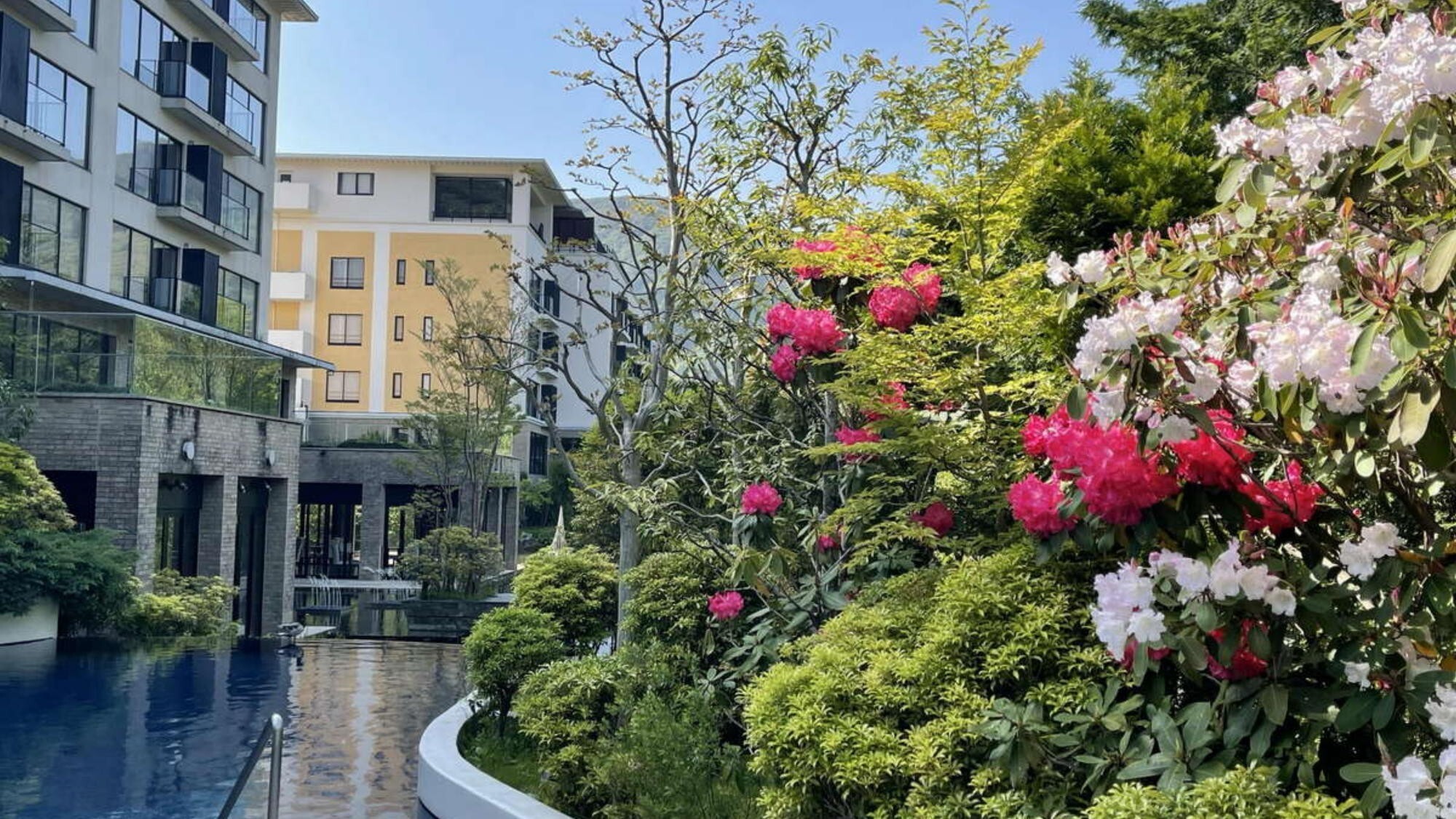 【夏】プールサイド