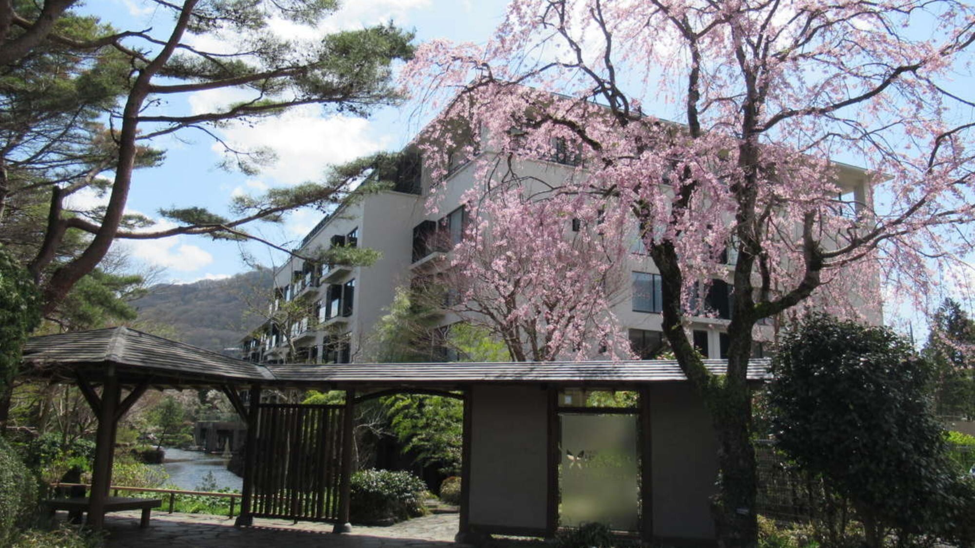 【春】さくらシーズンのハーヴェスト箱根甲子園