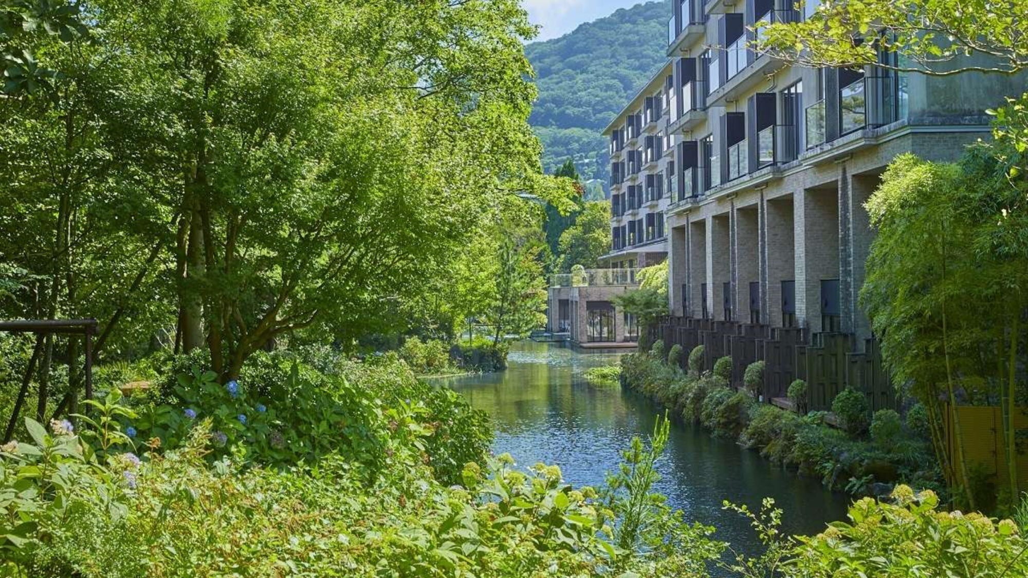 庭園からの風景
