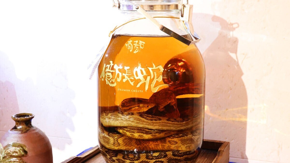 巨大ハブ入りハブ酒『南都億万長蛇』1ショット500円