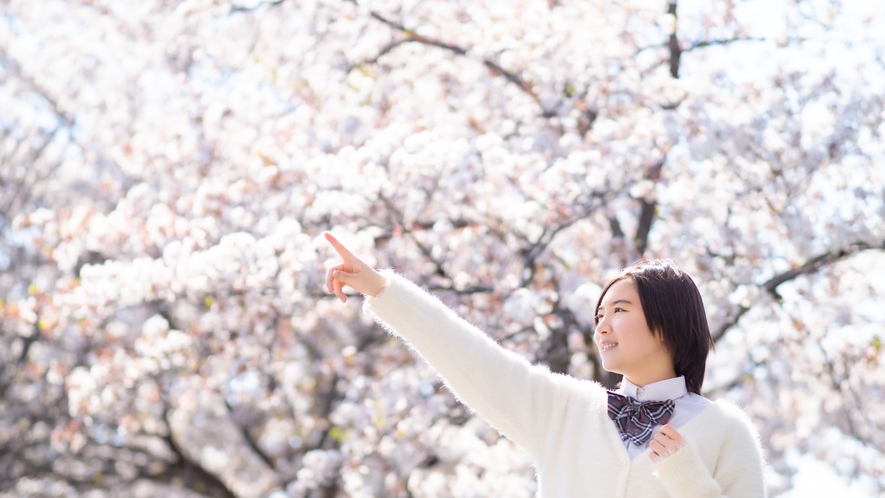 ホテルの前に広場があり、春は桜と松がきれいです。
