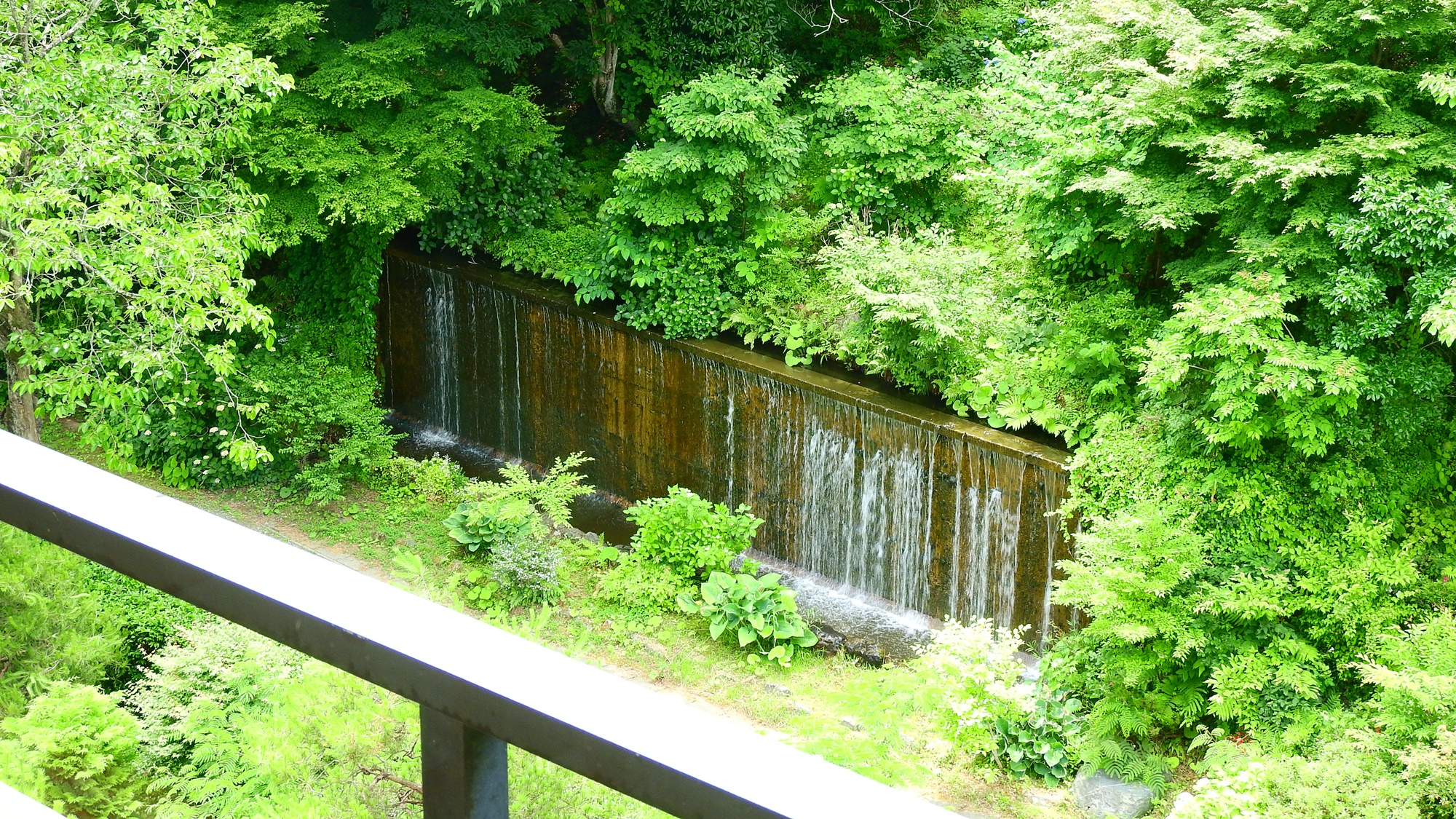 *【景観】自然に囲まれた静かな宿で、日頃の疲れを癒してください。