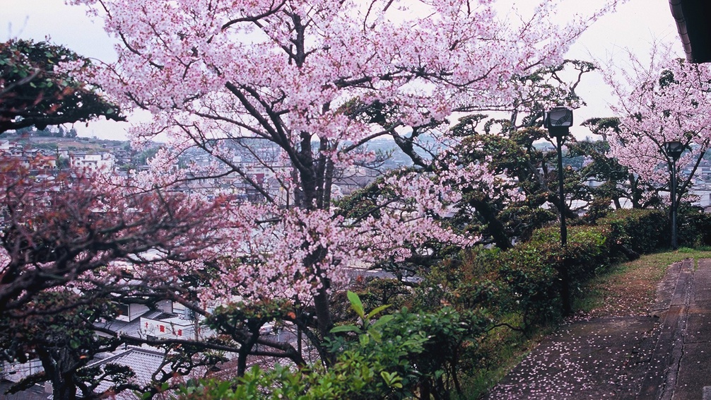 【春の味覚懐石】◆4/1〜5/14期間限定◆筍・鰆…“春の旬”食材で料理を彩る