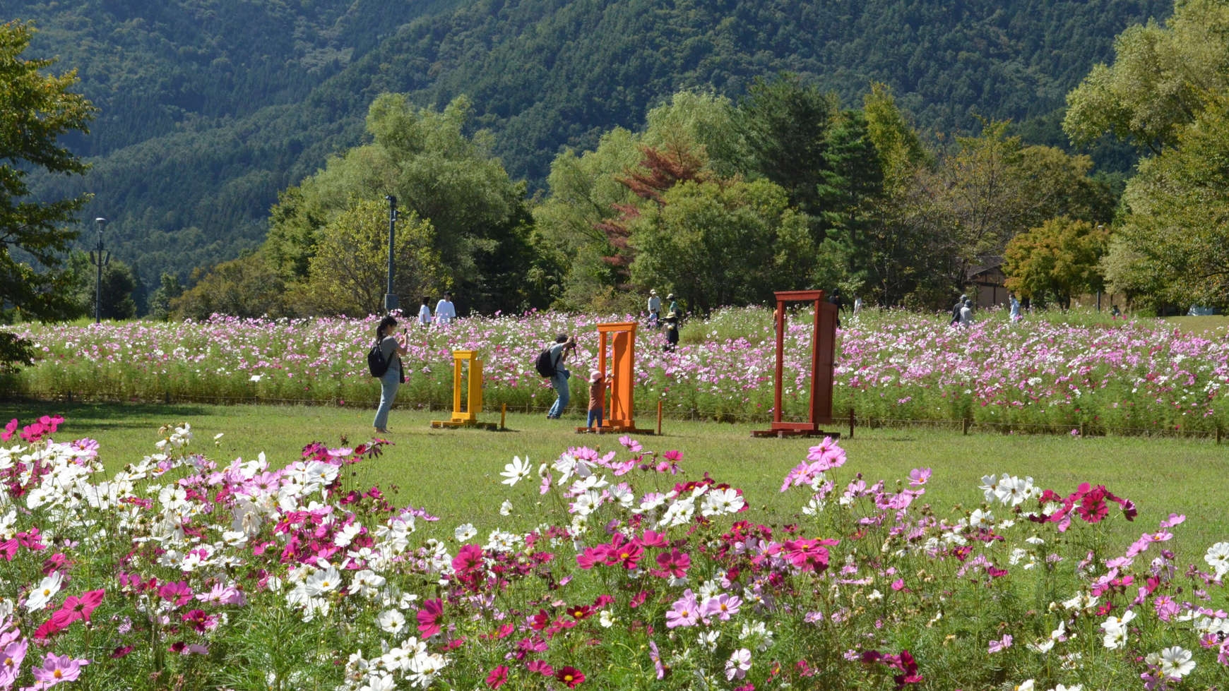 カップル特別旅【国営アルプスあづみの公園・松本城天守閣入場チケット付き】Wチケット付バイキングプラン