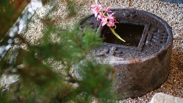 嵐山温泉彩四季の宿 花筏 日帰り デイユースプラン一覧 楽天トラベル 嵐山温泉彩四季の宿 花筏 日帰り デイユースプラン一覧 楽天トラベル
