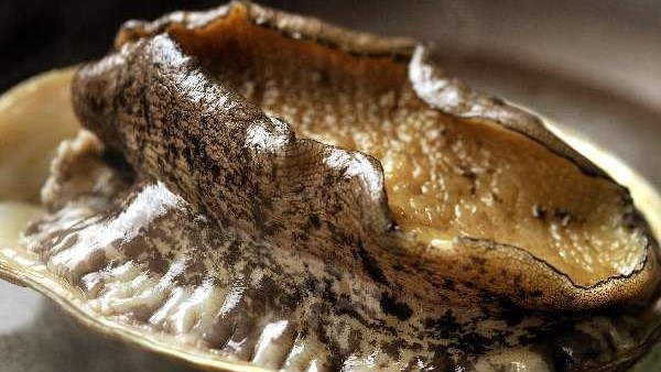 【アワビ踊り焼き】磯の香がギュッとつまった、柔らか～な新鮮な鮑