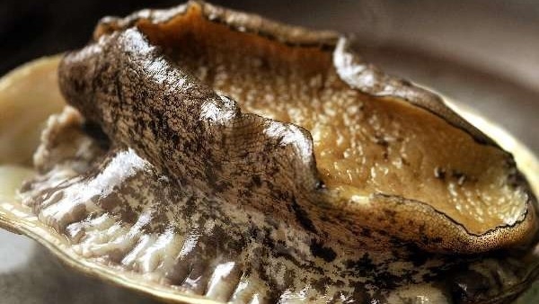 〇【食事処】スタンダード和会席「鮑踊り焼付」〜伊豆特産の海の幸と山の幸を堪能〜