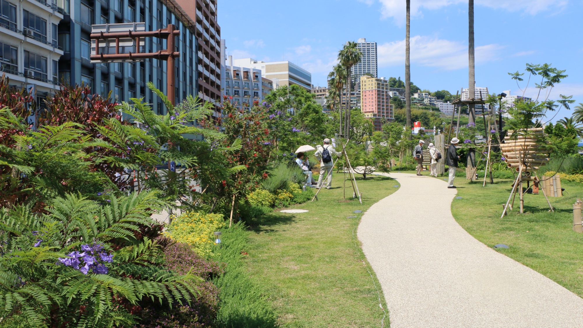【周辺観光】ジャカランダ遊歩道