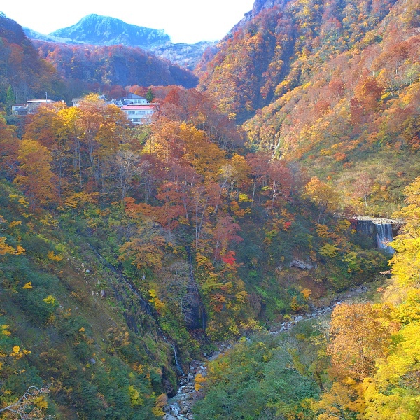 写真7