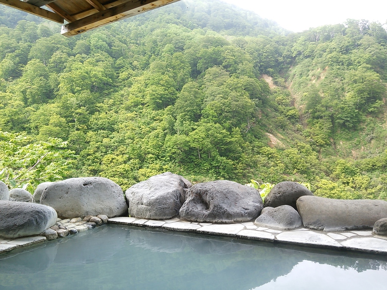 スタンダードプラン〜1泊2食付き〜自然食と温泉で体が喜ぶ旅