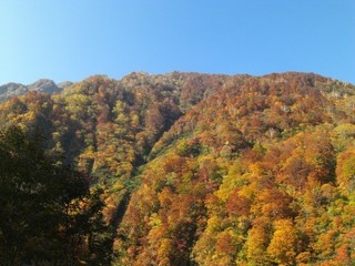 秋の渓谷の(一部)