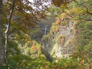 秋の惣滝