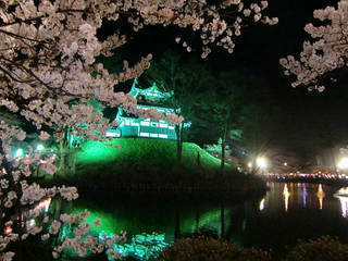 高田公園『観桜会』