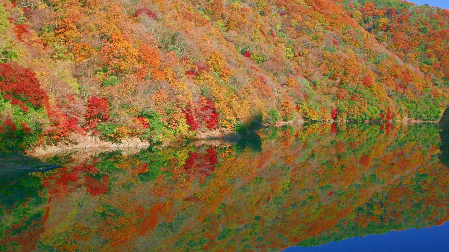 （宇治川）幻想的な景色と趣深い季節の移ろいを楽しんでいただけます。※画像はイメージ