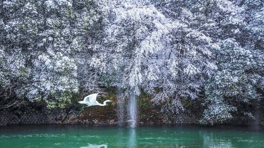 （宇治川）幻想的な景色と趣深い季節の移ろいを楽しんでいただけます。※画像はイメージ