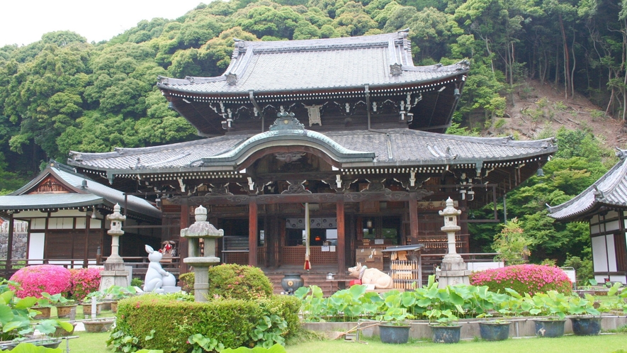 （三室戸寺）通称「あじさい寺」とも呼ばれ、京都イチあじさいの名所。※画像はイメージ