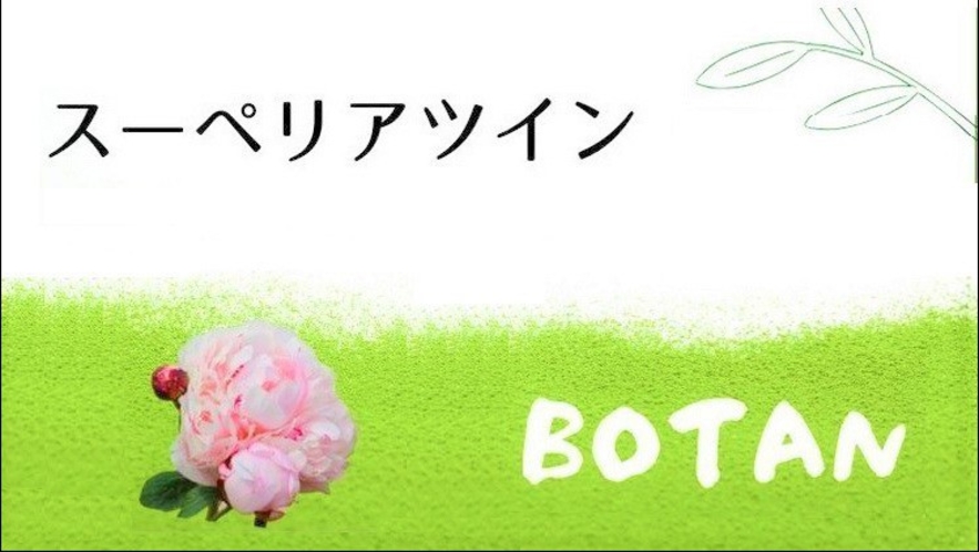 川側全面ガラス窓 スーペリアツイン　BOTAN（禁煙）