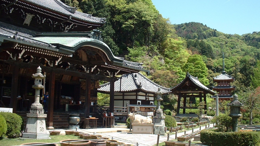 （三室戸寺）通称「あじさい寺」とも呼ばれ、京都イチあじさいの名所。※画像はイメージ