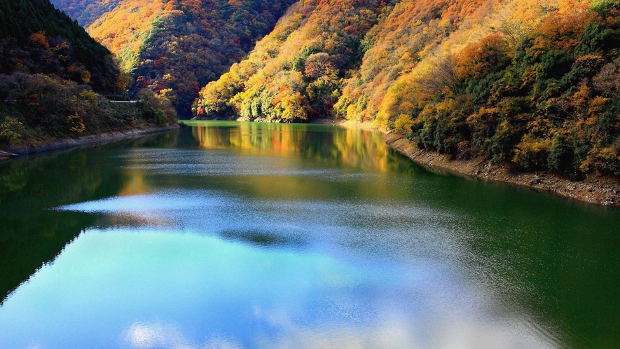 （宇治川）幻想的な景色と趣深い季節の移ろいを楽しんでいただけます。※画像はイメージ