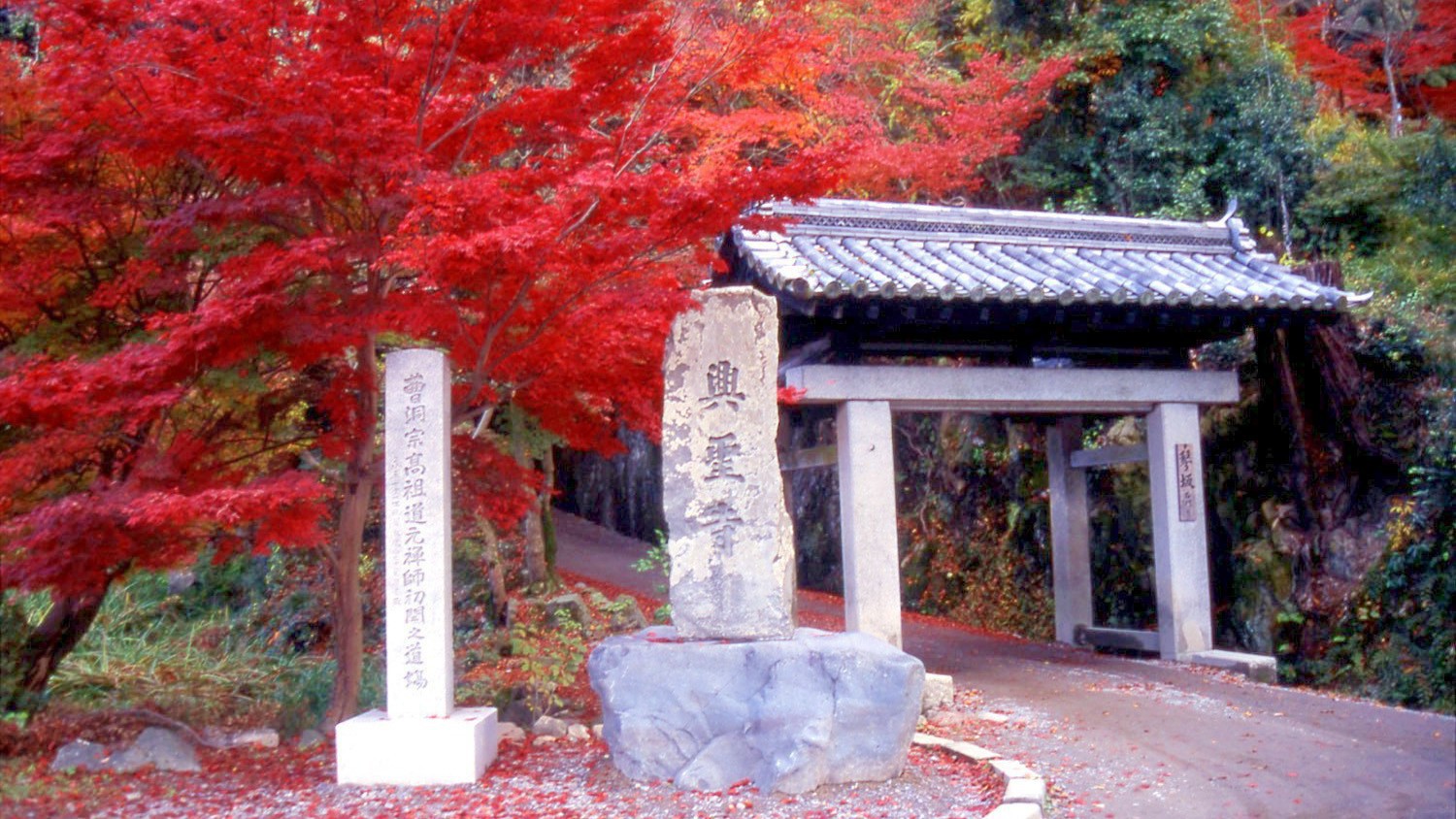 （秋の興聖寺）琴坂で有名な禅宗・曹洞宗の寺院です。※画像はイメージ