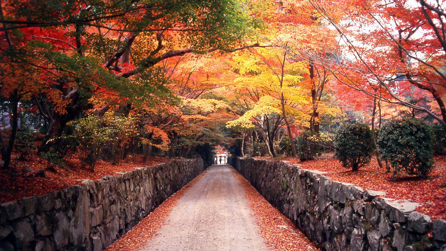 （秋の興聖寺）琴坂で有名な禅宗・曹洞宗の寺院です。※画像はイメージ