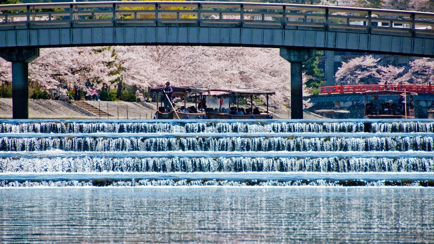 （春）桜の季節「宇治川」※画像はイメージ