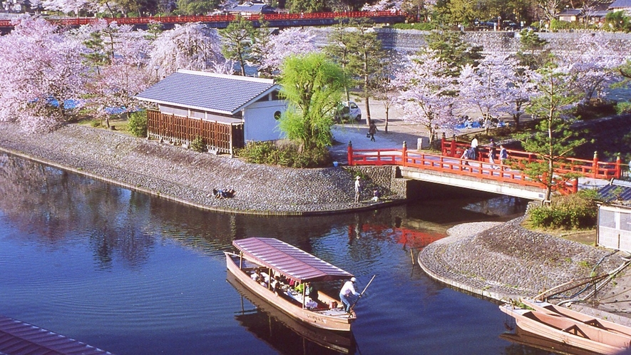 （春）桜の季節「宇治川」※画像はイメージ