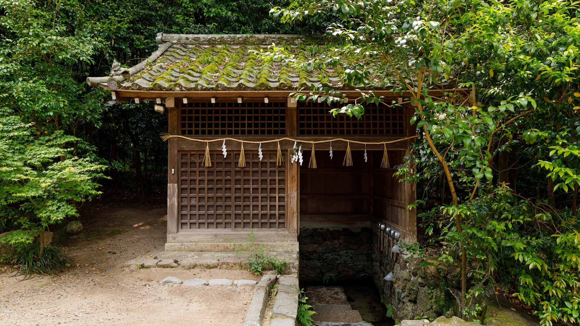 （世界遺産・宇治上神社）ユネスコの世界遺産「古都京都の文化財」※画像はイメージ