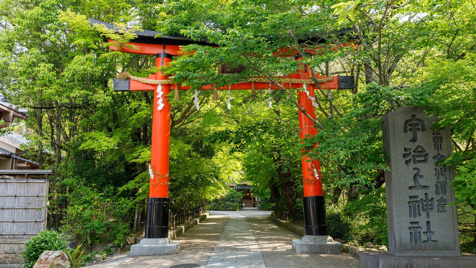 （世界遺産・宇治上神社）ユネスコの世界遺産「古都京都の文化財」※画像はイメージ