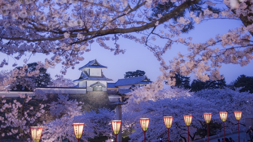 ■金沢城公園｜桜の見ごろは毎年4月上旬ごろです。ゆったりと庭園散策が楽しめます。<写真提供:金沢市>