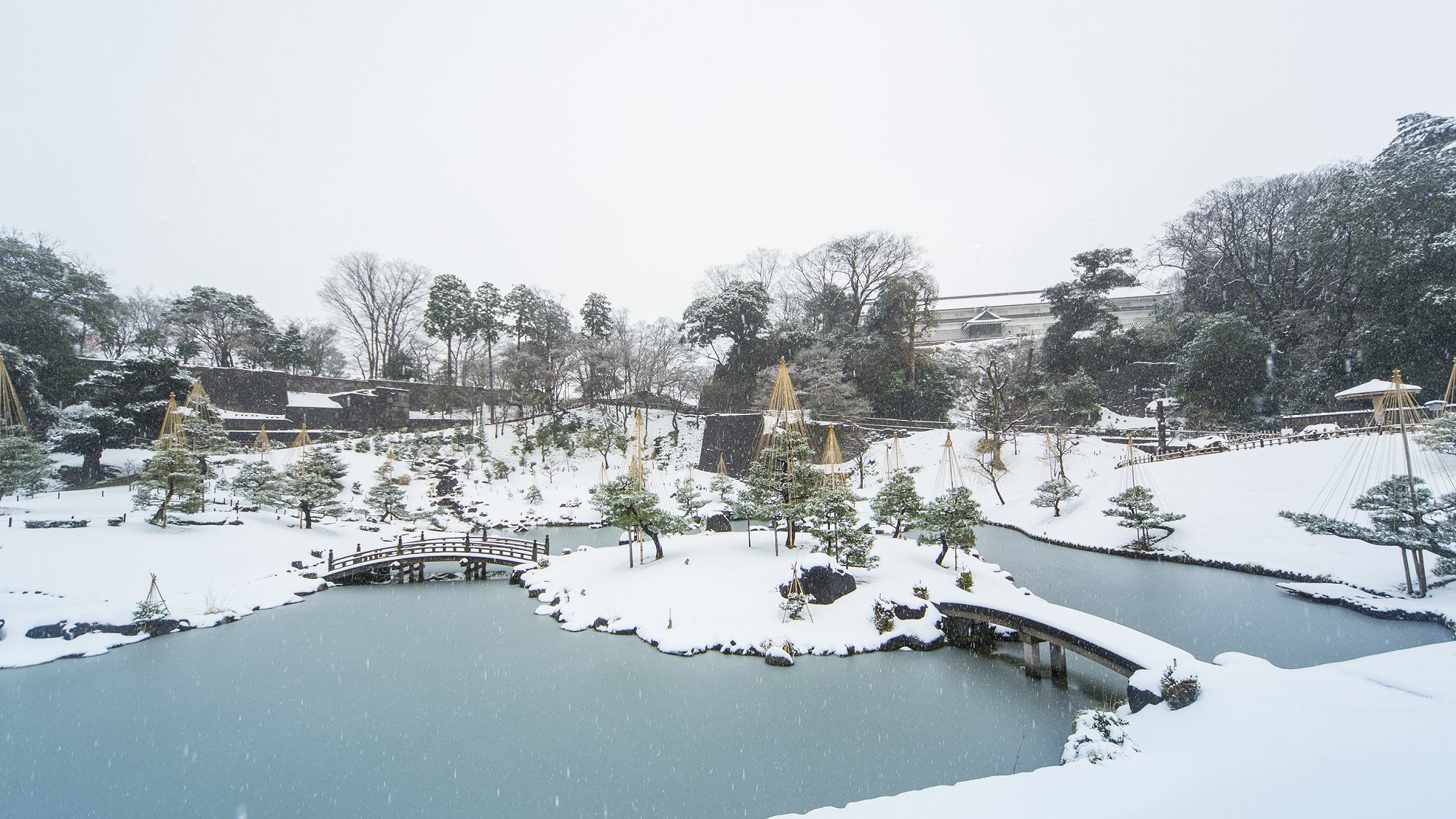 ■金沢城公園｜冬に咲く椿の赤と雪の白が美しいコントラストを描きます。<写真提供:金沢市>
