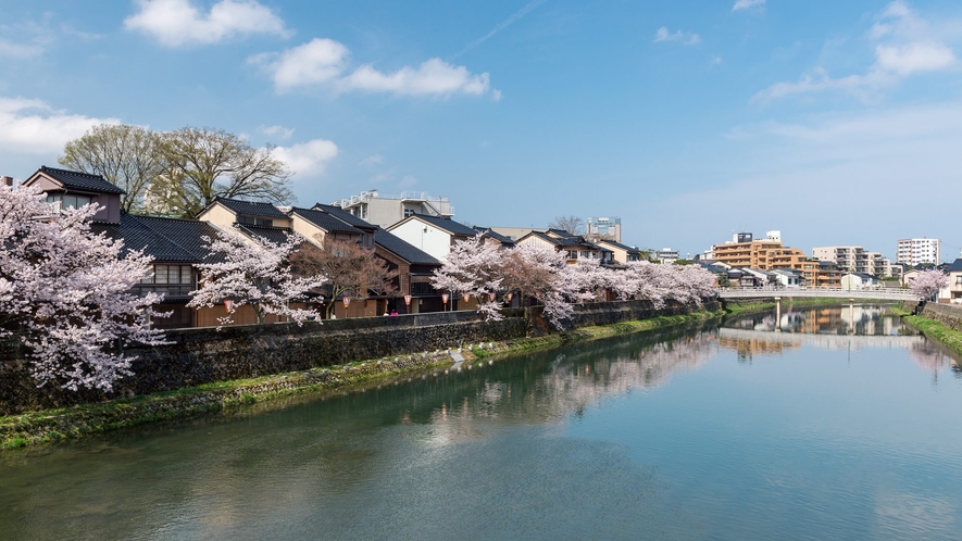 ■主計町茶屋街｜浅野川の川沿いに並ぶ桜並木とSNS映えするスポットです<写真提供:金沢市>