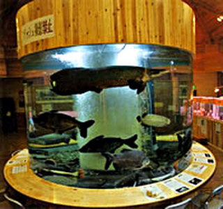 出の山淡水魚水族館