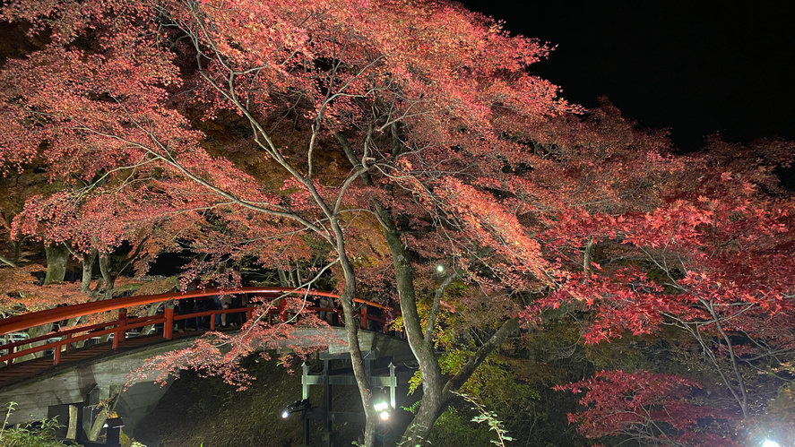 写真2
