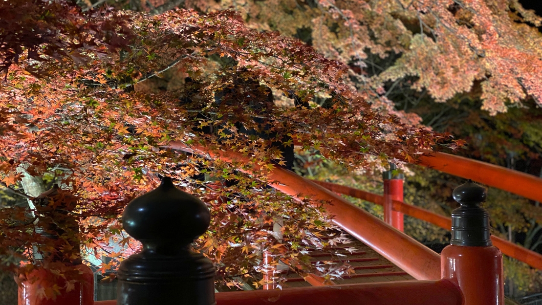 【河鹿橋ライトアップ】伊香保紅葉旅　一泊二食付きバイキングプラン
