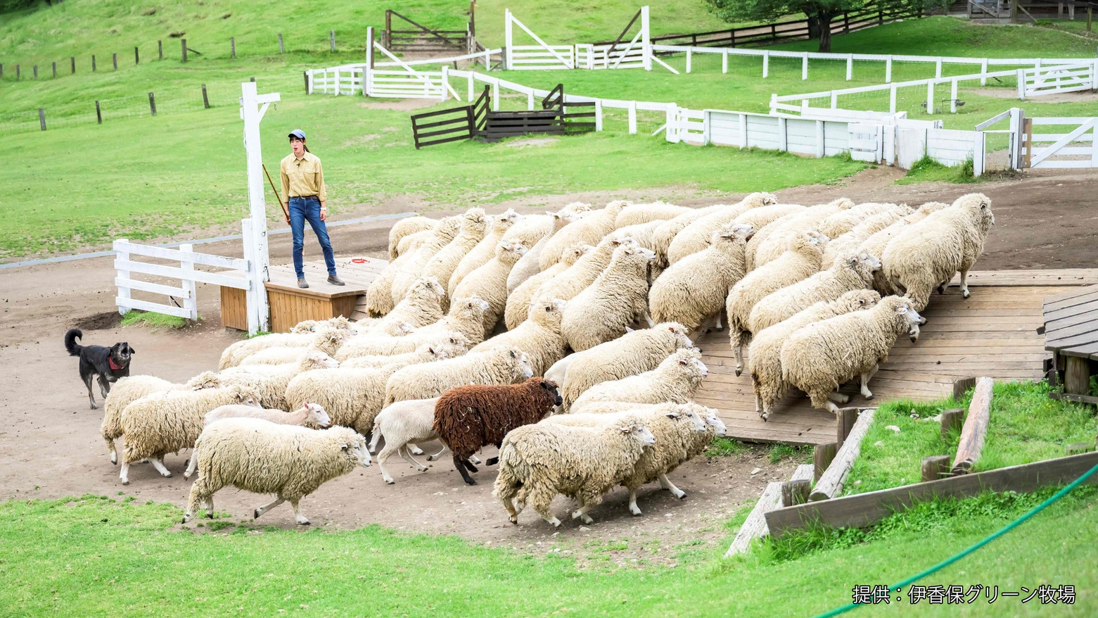 【お得に入園！】グリーン牧場チケット付一泊二食バイキングプラン